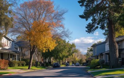 L'Art de Gérer les Impôts sur les Biens Immobiliers